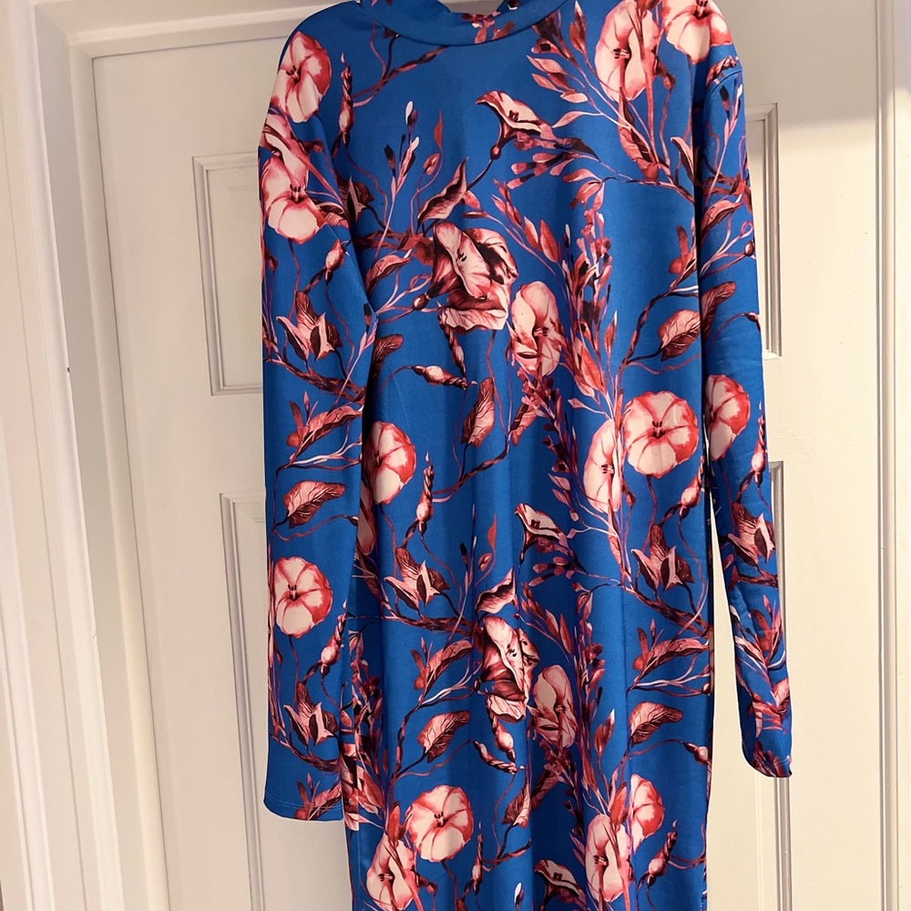 Zara blue with pink flower dress.